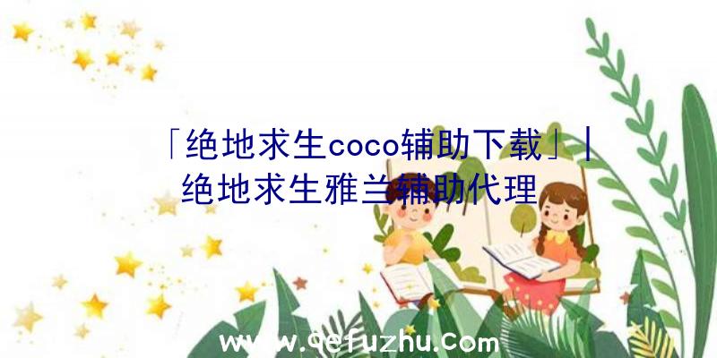 「绝地求生coco辅助下载」|绝地求生雅兰辅助代理